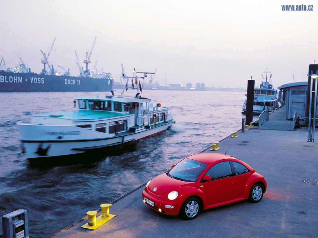 BEETLE_B.JPG